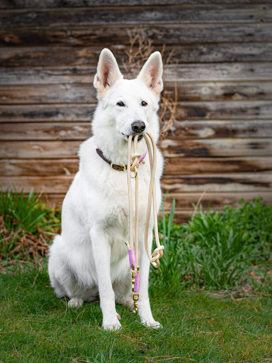 Zweifach verstellbare Leine 2,00 Meter