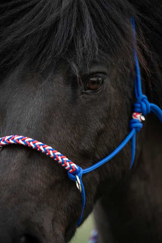 ISLAND Knotenhalfter – slide