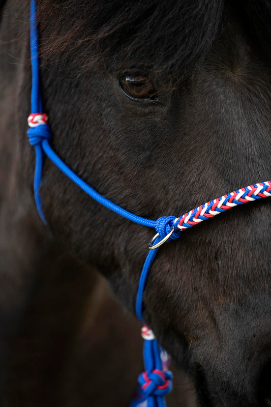 ISLAND Knotenhalfter – verstellbar