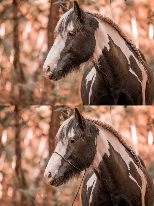 FotoFilo | Fotografen-Seil