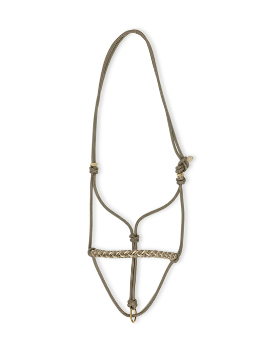 Golden Sandstone Knotenhalfter – slide