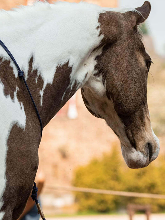 design it! Halsring 6mm