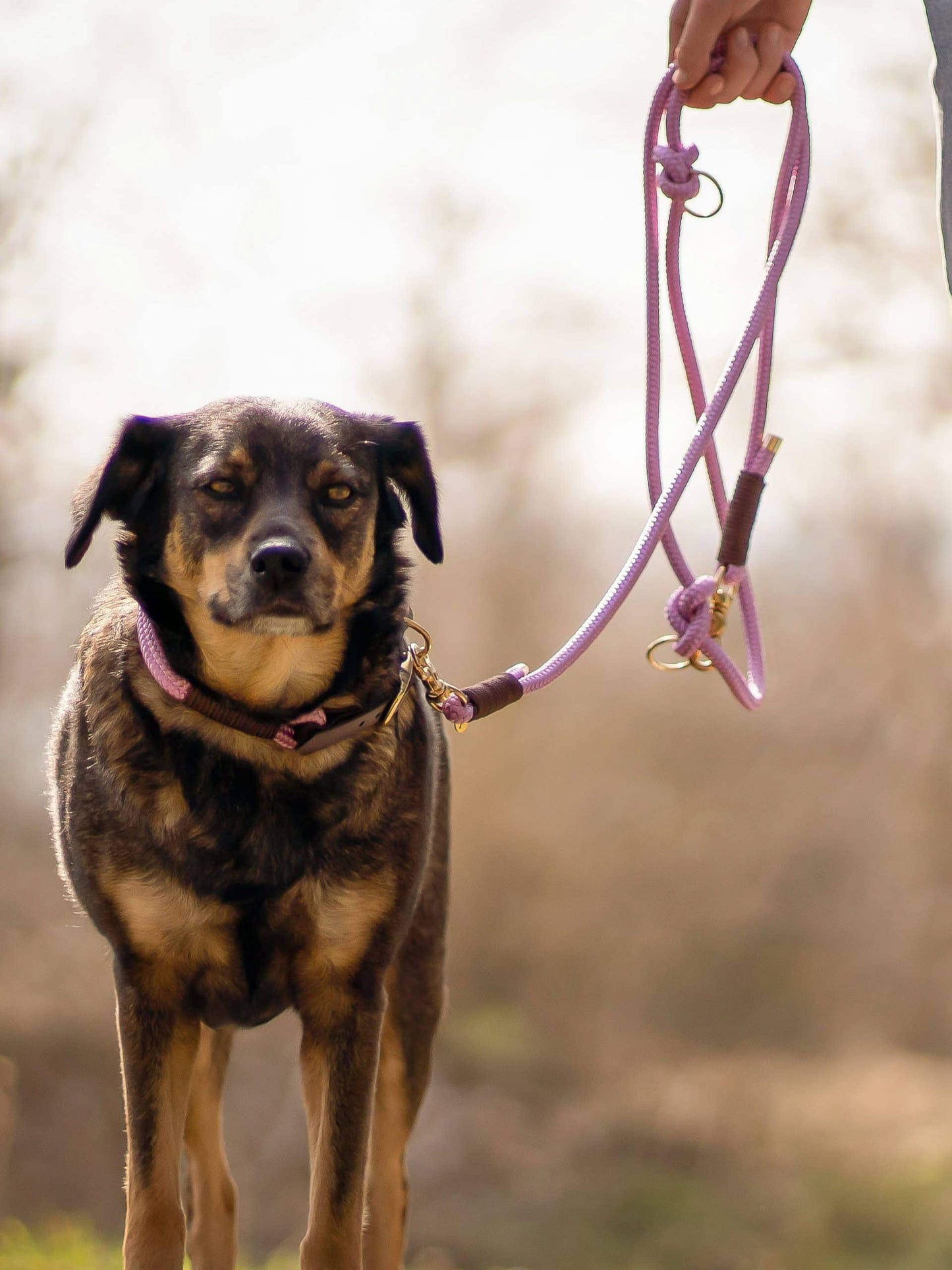 Zweifach verstellbare Leine 2,00 Meter