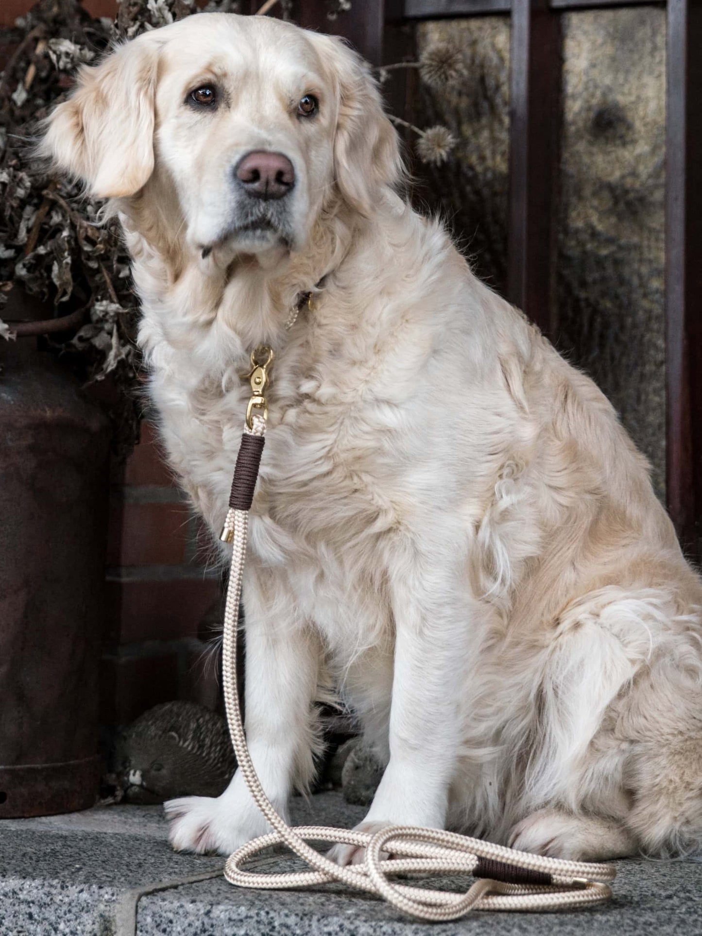 Leine mit Handschlaufe 1,5 Meter