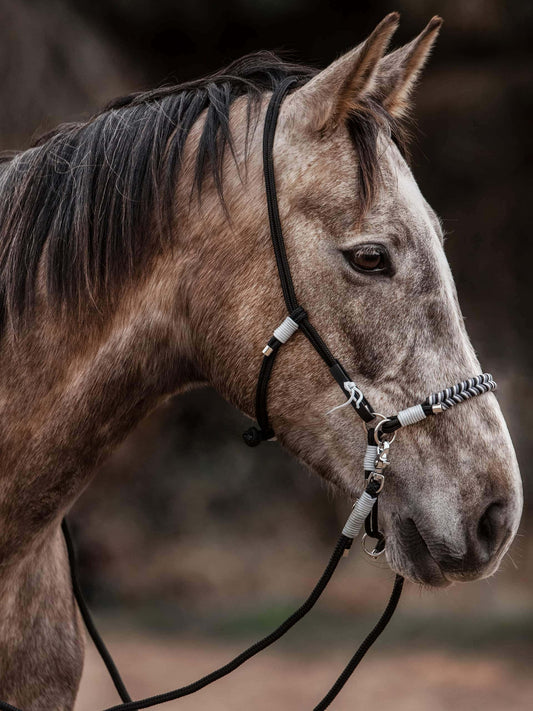 Sidepull | mit Halfterring