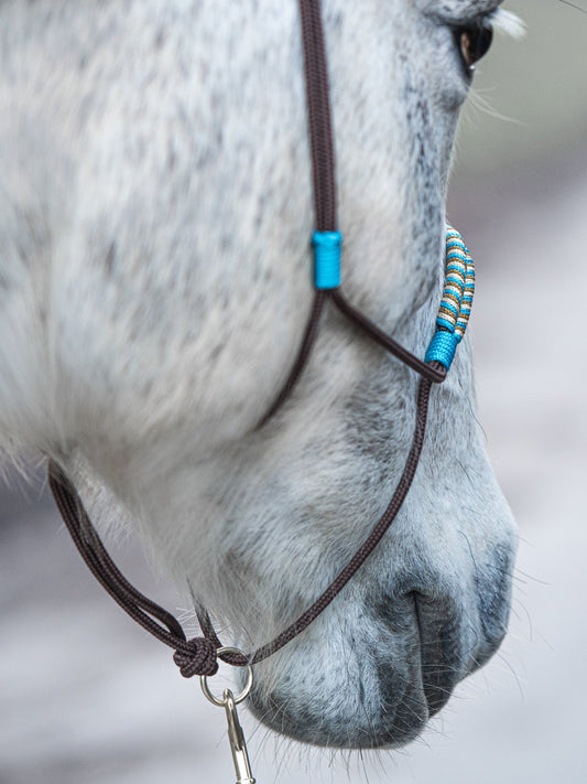 design it! Knotenhalfter – slide