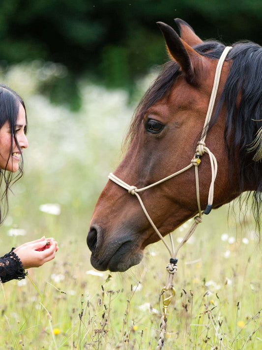 #nasenumwicklung_ohne-umwicklung