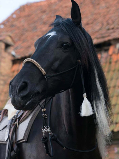 OSTWIND Knotenhalfter