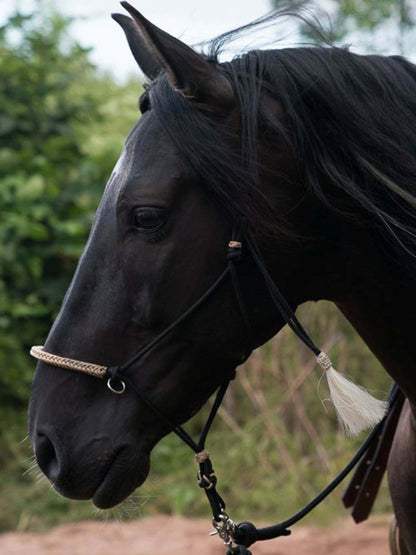 OSTWIND Knotenhalfter