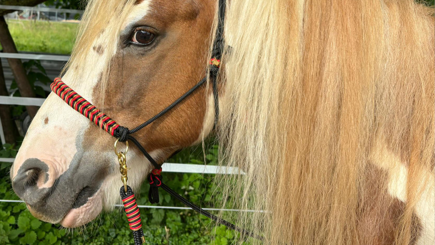 Deutschland-Kollektion – Für alle, die Schwarz-Rot-Gold lieben! 🐴