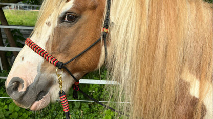 Deutschland-Kollektion – Für alle, die Schwarz-Rot-Gold lieben! 🐴