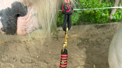 Deutschland-Kollektion – Für alle, die Schwarz-Rot-Gold lieben! 🐴