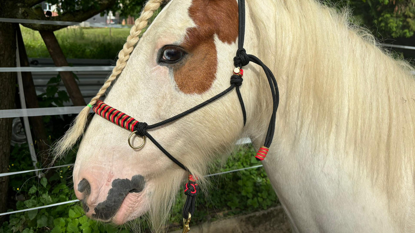 Deutschland-Kollektion – Für alle, die Schwarz-Rot-Gold lieben! 🐴