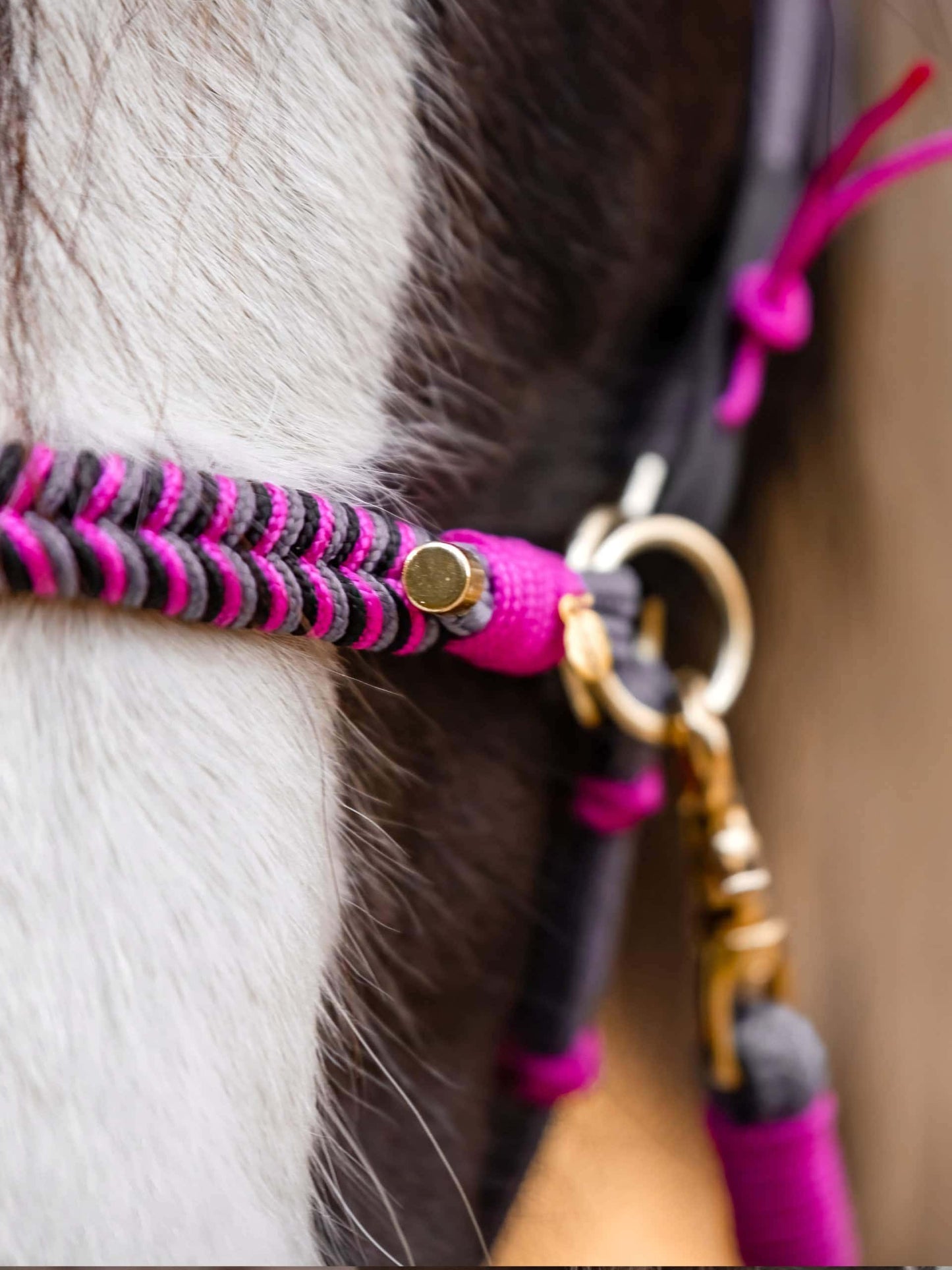 Sidepull | mit Halfterring